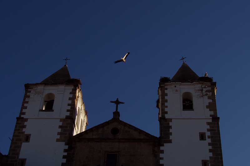 Visitas Guiadas y Free Tours a Cáceres con Guías Oficiales de Turismo